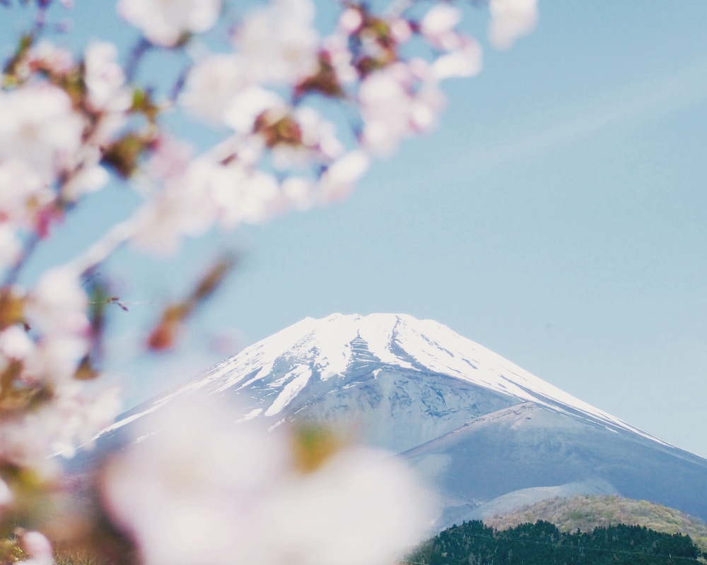 Voyages au japon, organisation de voyage au japon