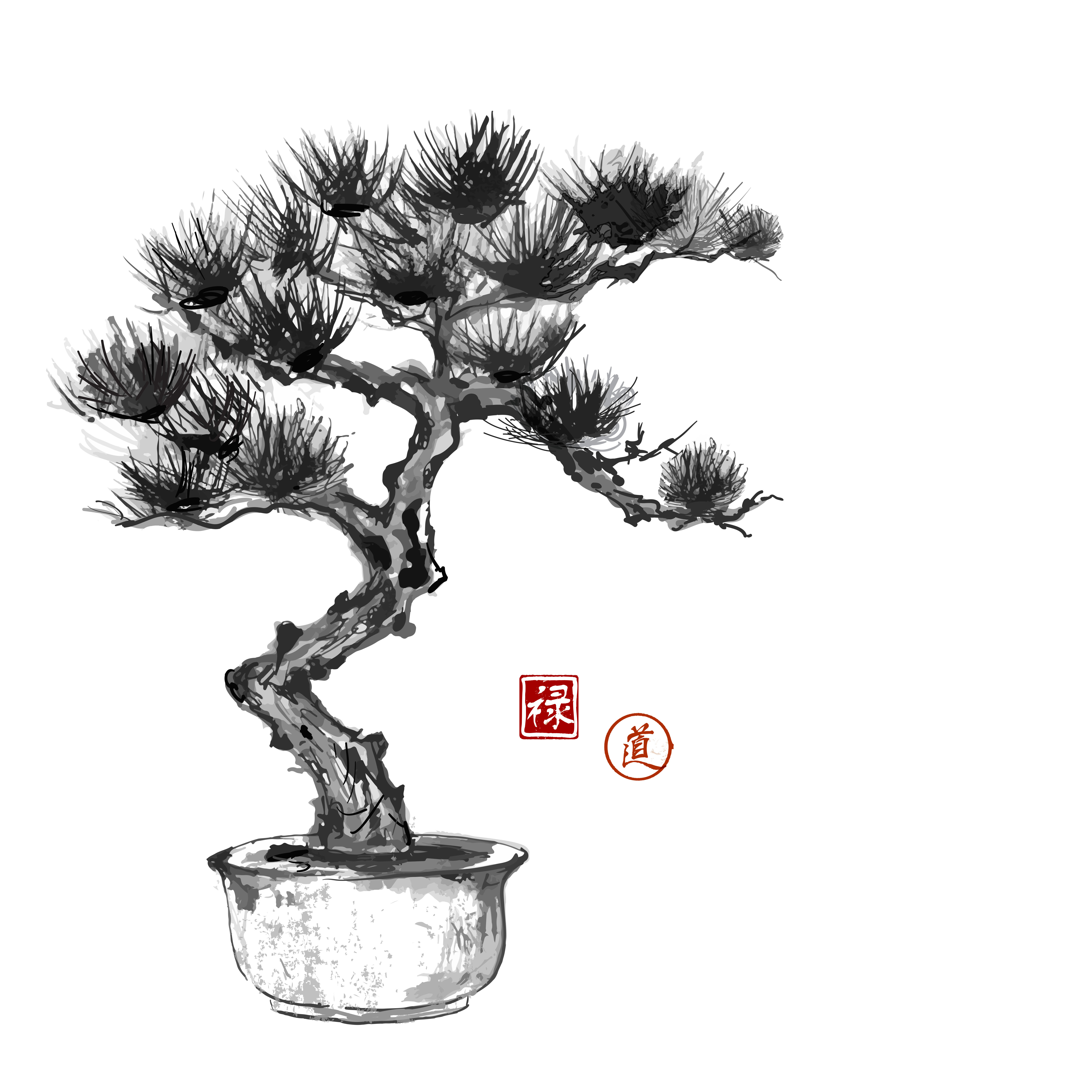 Bonsai pine tree hand hand-drawn with ink in traditional Japanese style sumi-e. Contains hieroglyphs - well-being, way