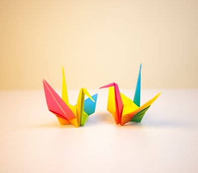 carolina-garcia-tavizon-Ay7Nkvc49ag-unsplash