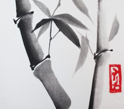 sumi 5